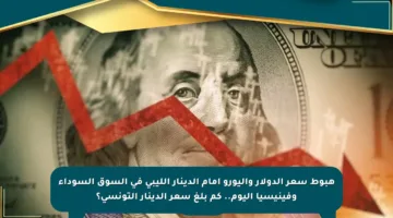 هبوط سعر الدولار واليورو أمام الدينار الليبي في السوق السوداء وفينيسيا اليوم.. كم بلغ سعر الدينار التونسي؟